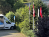 IMG_2900_1960